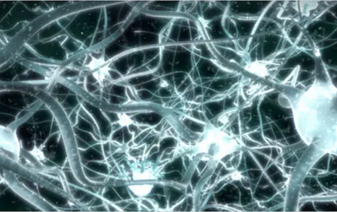 Neuro-network-image-xx