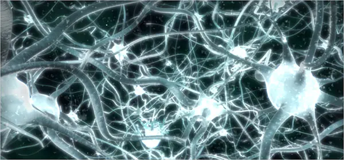 Neuro-network-image-xx
