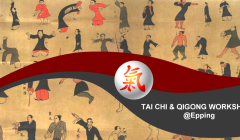 Tai-Chi-Qigong-Workshops-04