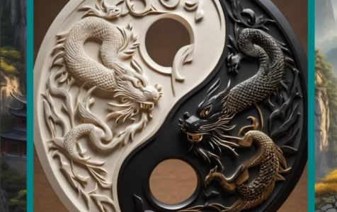 The-World-of-Martial-Arts-in-the-World