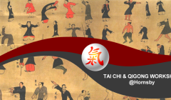 Tai-Chi-Qigong-Workshops-04-Hornsby