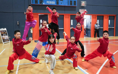 Harmony in Motion-MR