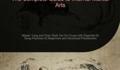 Tai-Chi-Qigong-by-Bendis-Saage