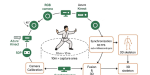 AI-Driven-Tai-Chi-Mastery