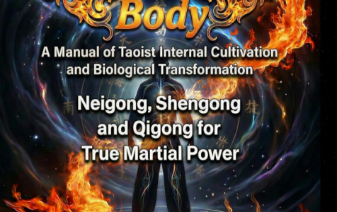 Forging-the-Immortal-Body-2026
