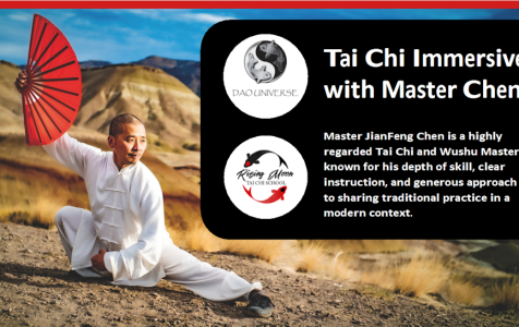 Tai-Chi-Master-Chen