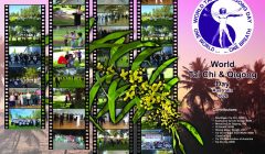 wtcqd-2026-01