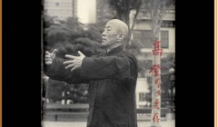 Zhan-Zhuang