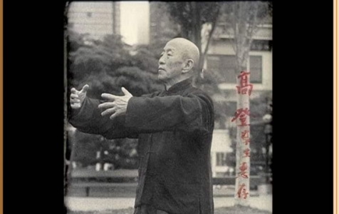 Zhan-Zhuang